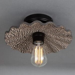 Ceramic Ceiling Lights