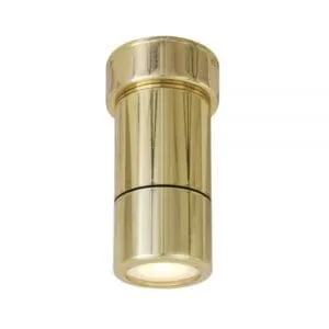 Ennis Spot Light IP44 Bathrooms or IP65 Outside Bathroom Ceiling Lights Great Lighting UK Ltd