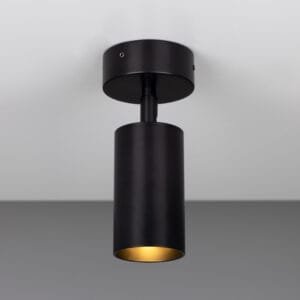 Evanston Directional Brass Spot Light New Arrivals Great Lighting UK Ltd