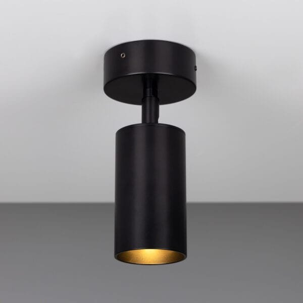 Evanston Directional Brass Spot Light New Arrivals Great Lighting UK Ltd