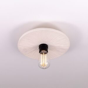 Matt White Bog Oak Disc Ceiling Light Ceramic Ceiling Lights Great Lighting UK Ltd