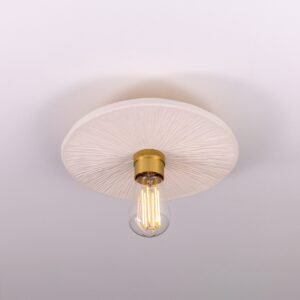 Matt White Bog Oak Disc Ceiling Light Ceramic Ceiling Lights Great Lighting UK Ltd