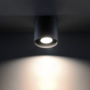 Ceiling Lamp Orbis 1 Black Single Ceiling Lights Great Lighting UK Ltd