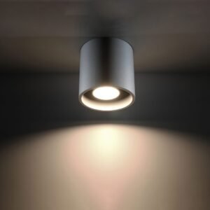 Ceiling Lamp Orbis 1 Grey Single Ceiling Lights Great Lighting UK Ltd