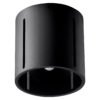 Ceiling Lamp Inez Black Single Ceiling Lights Great Lighting UK Ltd