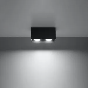 Quad Maxi Ceiling Downlight - Black 2 Light Spotlight Great Lighting UK Ltd