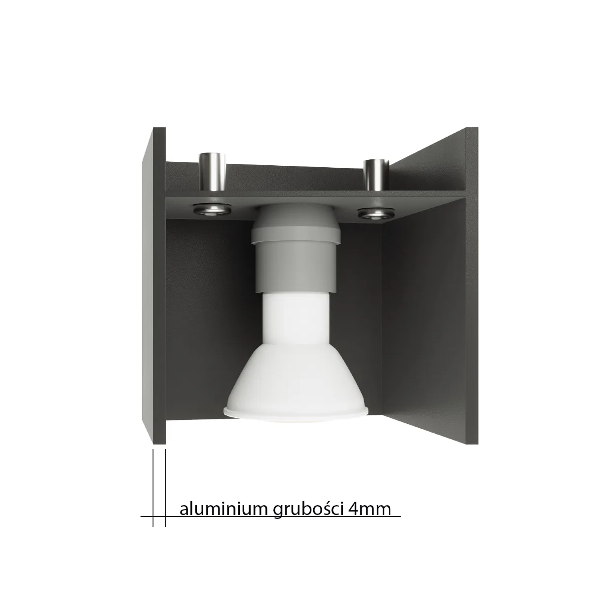 Quad Maxi Ceiling Downlight - Black 2 Light Spotlight Great Lighting UK Ltd