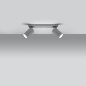 Ceiling Lamp Ring 2 Grey Track Lighting Great Lighting UK Ltd