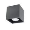 Ceiling Lamp Quad 1 Anthracite Single Ceiling Lights Great Lighting UK Ltd
