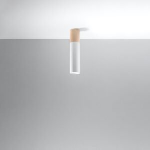 Ceiling Lamp Pablo White Single Ceiling Lights Great Lighting UK Ltd