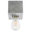 Ceiling Lamp Ariz Concrete Single Ceiling Lights Great Lighting UK Ltd