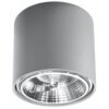 Ceiling Lamp Tiube Grey Single Ceiling Lights Great Lighting UK Ltd