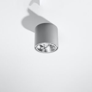 Ceiling Lamp Tiube Grey Single Ceiling Lights Great Lighting UK Ltd