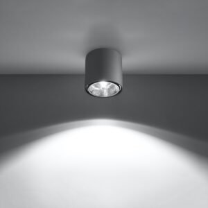 Ceiling Lamp Tiube Grey Single Ceiling Lights Great Lighting UK Ltd