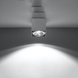 Ceiling Lamp Blake White Single Ceiling Lights Great Lighting UK Ltd
