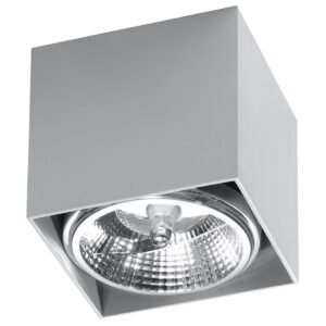 Ceiling Lamp Blake Grey Single Ceiling Lights Great Lighting UK Ltd
