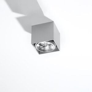 Ceiling Lamp Blake Grey Single Ceiling Lights Great Lighting UK Ltd