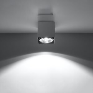 Ceiling Lamp Blake Grey Single Ceiling Lights Great Lighting UK Ltd