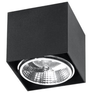Ceiling Lamp Blake Black Single Ceiling Lights Great Lighting UK Ltd