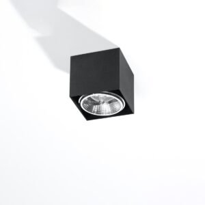 Ceiling Lamp Blake Black Single Ceiling Lights Great Lighting UK Ltd