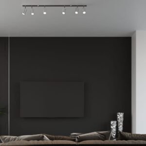 Ceiling Lamp Ring Four Light Chrome Black & Chrome Lights Great Lighting UK Ltd