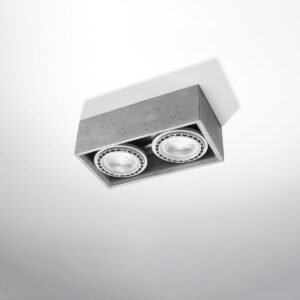 Quatro Twin Ceiling Downlight - Concrete 2 Light Spotlight Great Lighting UK Ltd
