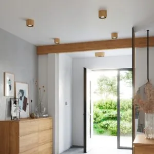 Scandinavian Style Ceiling Lights