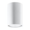 Ceiling Lamp Lagos 10 White Single Ceiling Lights Great Lighting UK Ltd