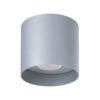 Ceiling Lamp Mika Grey Single Ceiling Lights Great Lighting UK Ltd
