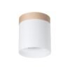 Ceiling Lamp Rif White Single Ceiling Lights Great Lighting UK Ltd