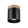 Ceiling Lamp Rif Black Single Ceiling Lights Great Lighting UK Ltd