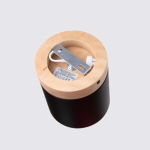 Ceiling Lamp Rif Black Single Ceiling Lights Great Lighting UK Ltd
