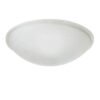 Flush Dish Ceiling Fitting Glass Lamp Shade Glass Shades Great Lighting UK Ltd
