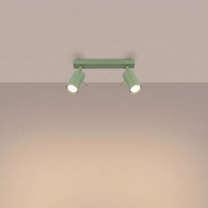 Ring 2-Light Ceiling Bar - Sage Uncategorized Great Lighting UK Ltd